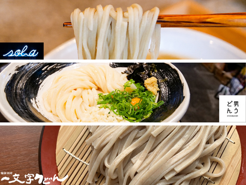《初回限定》食べ尽くしうどんお試しセット(うどん蕎麦5種入り)