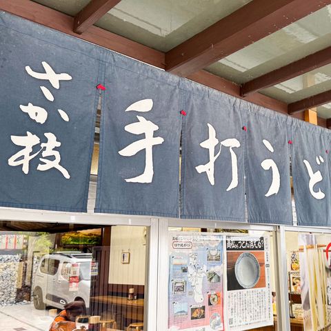 さか枝うどん 半生うどん