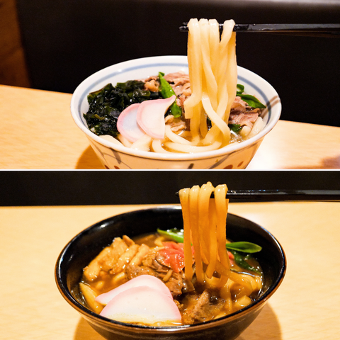 【リターン品】たぬきの冷凍うどん厳選5種セット