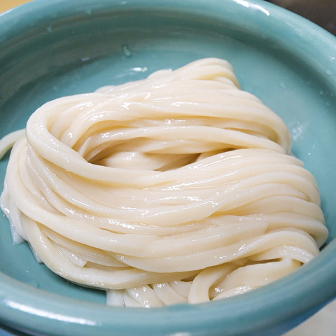 うどん本陣 山田家  生うどん