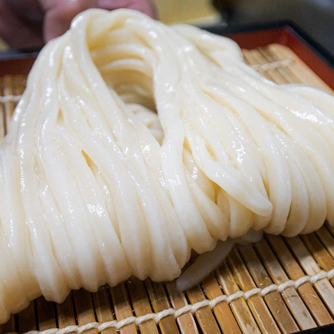 うどん本陣 山田家  生うどん